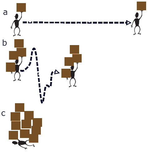 carl wieman cognitive loads